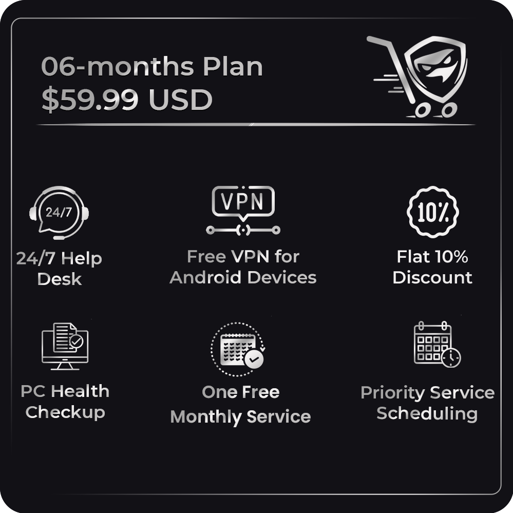 06-months plan details with icons and text on a black background